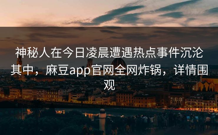 神秘人在今日凌晨遭遇热点事件沉沦其中，麻豆app官网全网炸锅，详情围观