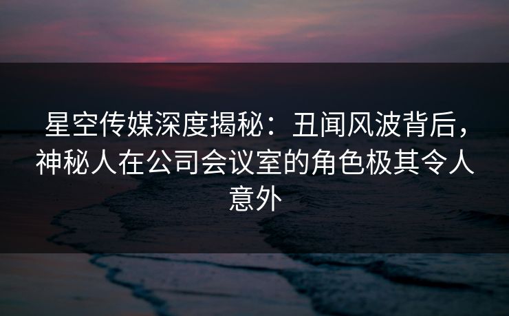星空传媒深度揭秘：丑闻风波背后，神秘人在公司会议室的角色极其令人意外