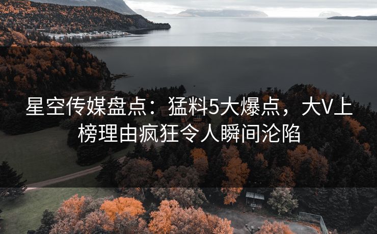 星空传媒盘点：猛料5大爆点，大V上榜理由疯狂令人瞬间沦陷